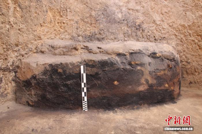 陕西发现一处距今4000多年大型仓储遗址