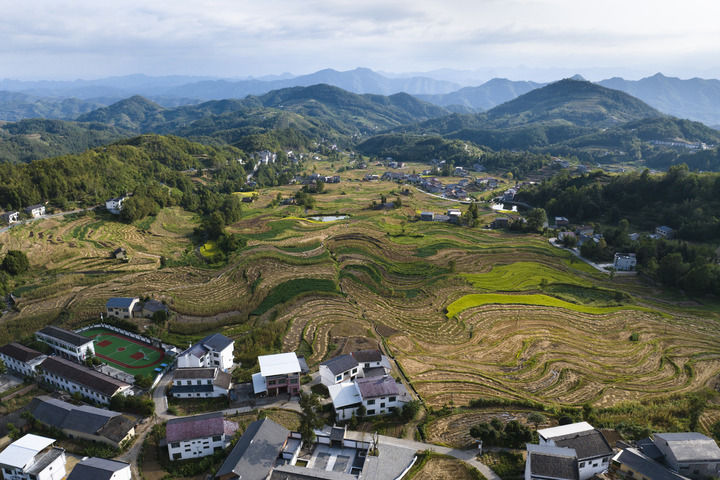 守护悠悠文脉 探寻“何以中国”——陕西推动文物保护与活化利用新观察