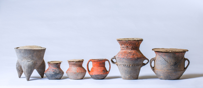 历经13年科研,以古DNA揭开石峁人群之谜 历经13年科研,以古DNA揭开石峁人群之谜