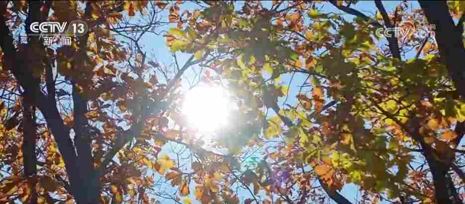 各地“文旅盛宴”拉满节日氛围感 新场景新玩法解锁“流量”密码