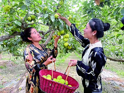 【砥砺奋进七十载 天山南北谱华章】在新疆,一路风景一路歌 【砥砺奋进七十载 天山南北谱华章】在新疆,一路风景一路歌