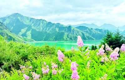 【砥砺奋进七十载 天山南北谱华章】在新疆,一路风景一路歌 【砥砺奋进七十载 天山南北谱华章】在新疆,一路风景一路歌