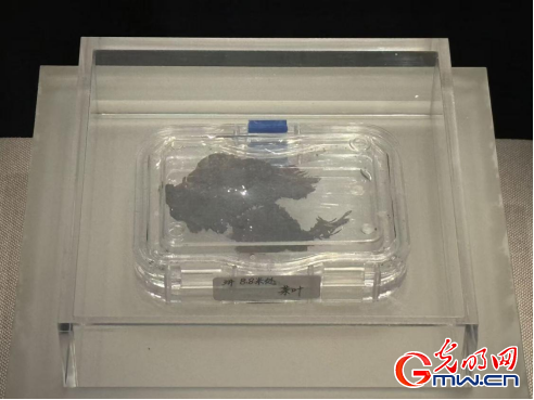 数智文遗陕西行丨从汉室陵阙看昔日文景盛世 数智文遗陕西行丨从汉室陵阙看昔日文景盛世