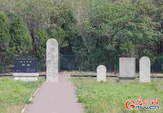 组图｜微笑“姗姗”来了！一起感受数字化文博魅力