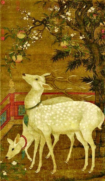 鹿鸣呦呦——传统文化中的鹿