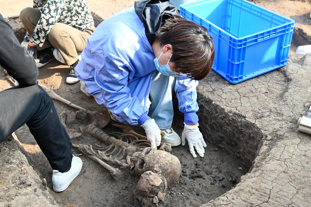 河南贾湖遗址发现中国最早木棺