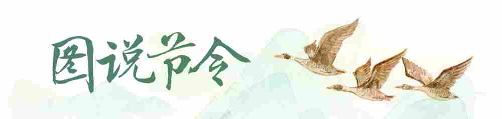 图说节令|白露节气的古老传统为何历久弥新? 图说节令|白露节气的古老传统为何历久弥新?