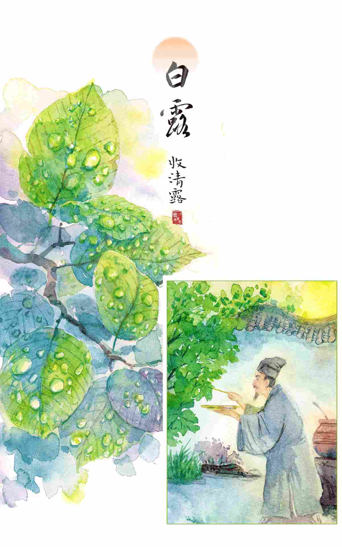 图说节令|白露节气的古老传统为何历久弥新? 图说节令|白露节气的古老传统为何历久弥新?
