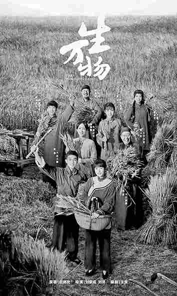 2025年剧集：产业新格局正在形成