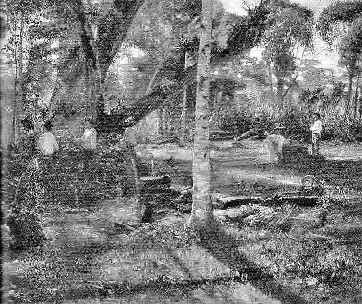 “咱们喝杯马黛茶吧”——史诗、乡愁与文化共在