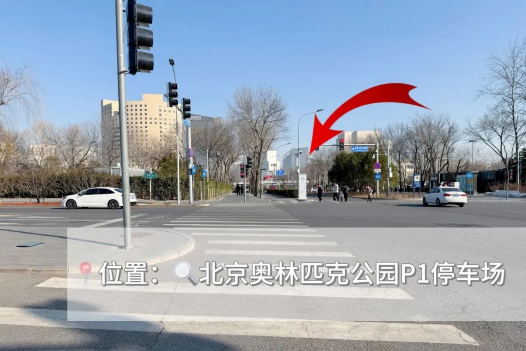 【攻略】春节来奥博逛市集、看展览、集章兑奖,全程不迷路!