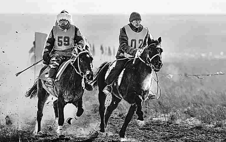 赛马赛驼乐享冬日