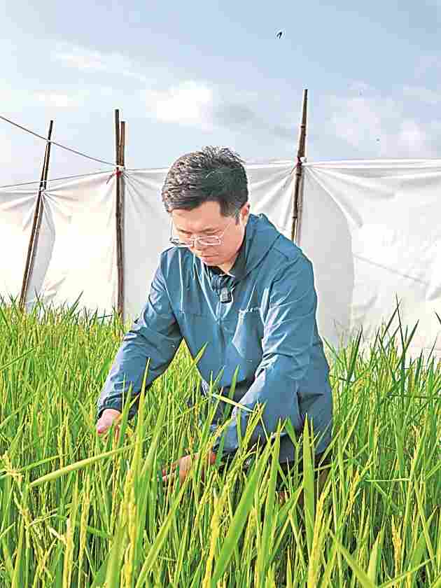 这个春节,我陪种子在海南 这个春节,我陪种子在海南