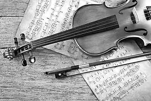 古典音乐“曲高和者众” 古典音乐“曲高和者众”