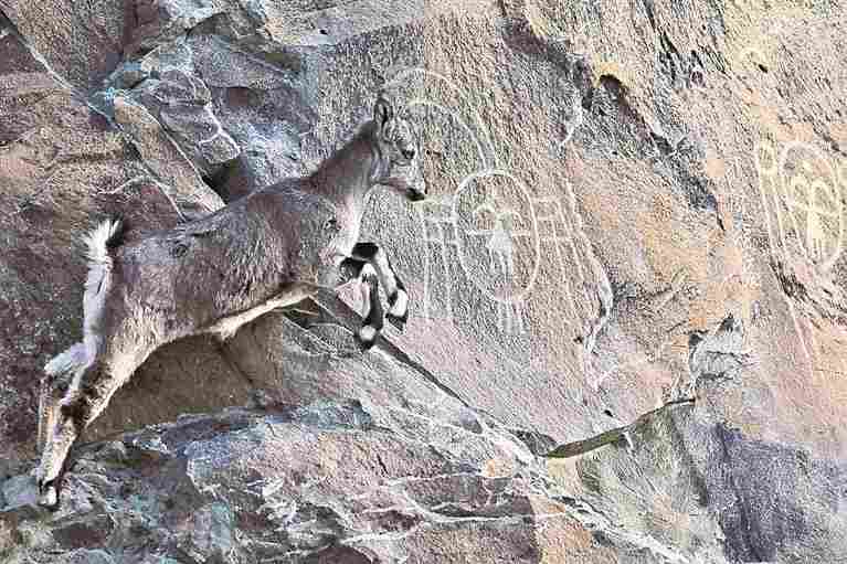 万年“画廊”遇见数字流光 万年“画廊”遇见数字流光