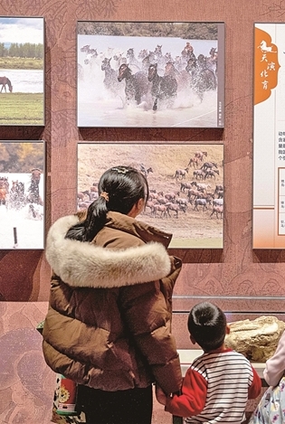 以文化滋养精神家园