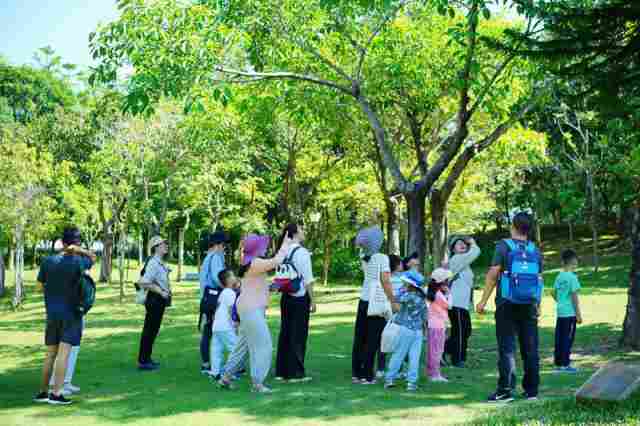 深圳坪山“四季文旅”IP，体验经济如何为游客打开情绪出口？