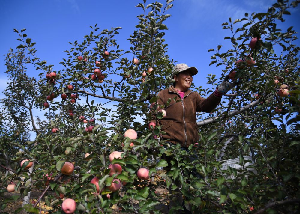 解码文化自信的城市样本|榆林:黄土古韵起新歌 解码文化自信的城市样本|榆林:黄土古韵起新歌