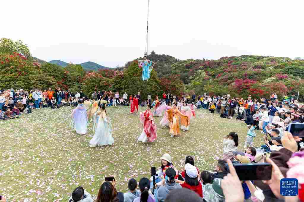 几日春风又春雨 杜鹃依旧映山红