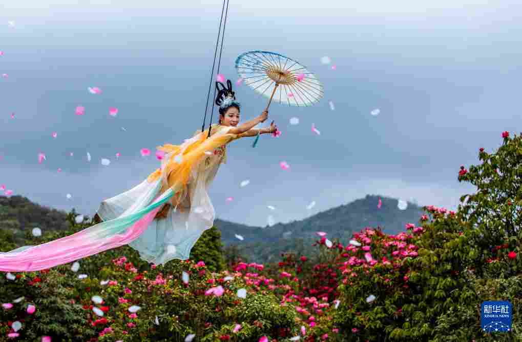 几日春风又春雨 杜鹃依旧映山红